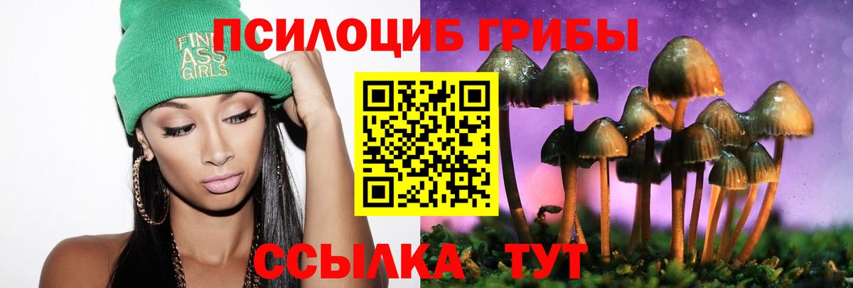 Галлюциногенные грибы MAGIC MUSHROOMS  Вход с VPN  Гуково 